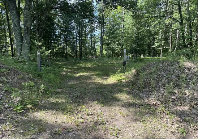 Photo 1 of Land for sale at 802 Beaver Rd, Bitely, MI 49309 | MLS# 70545732 | Listing updated on 2026-08-27