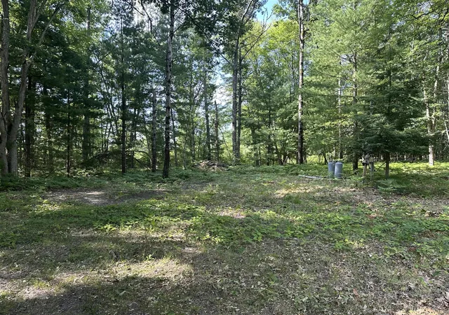 Photo 3 of Land for sale at 802 Beaver Rd, Bitely, MI 49309 | MLS# 70545732 | Listing updated on 2026-08-27