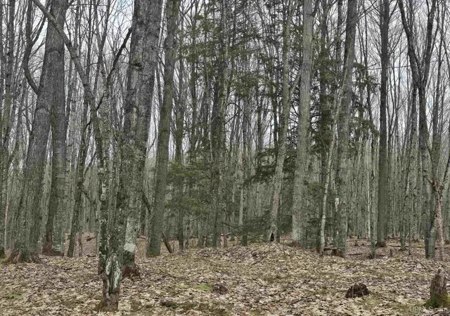 1st image of Tbd Orange Rd, Nisula, MI 49952 | MLS# 50200702