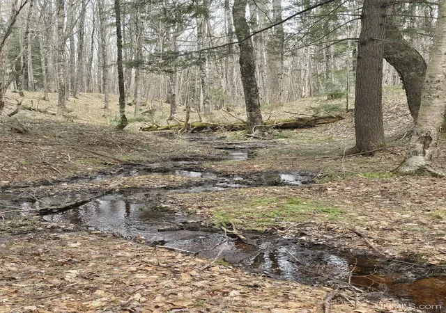 3rd image of Tbd Orange Rd, Nisula, MI 49952 | MLS# 50200702
