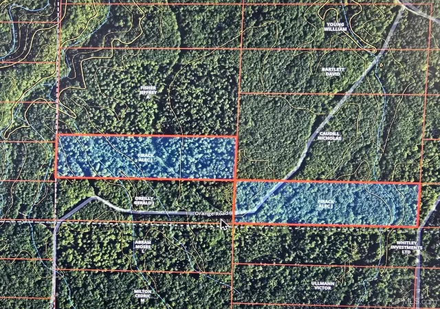49th image of Tbd Orange Rd, Nisula, MI 49952 | MLS# 50200702