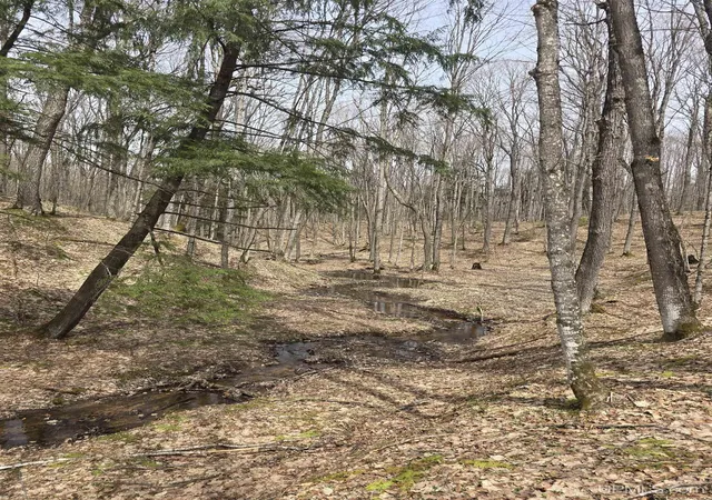 4th image of Tbd Orange Rd, Nisula, MI 49952 | MLS# 50200702