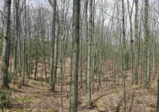 5th image of Tbd Orange Rd, Nisula, MI 49952 | MLS# 50200702