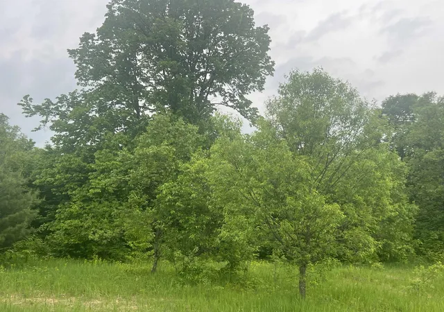 Homes for sale in Kalkaska, MI | 00 Wood Road, Ne, Kalkaska, MI 49646 | MLS# 80070135