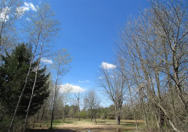 Photo 4 of Sale Pending at 3889 Dalson Rd, Twin Lake, MI 49445 | MLS# 70524941 | Listing updated on 2026-05-15