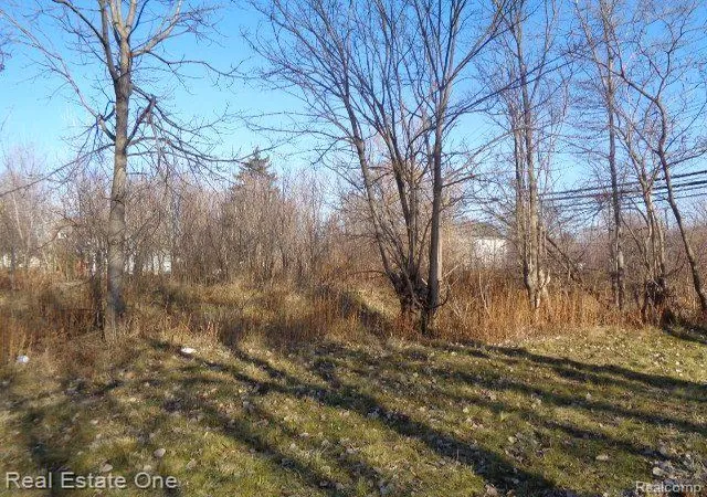 image of 18088 Pelkey St, Detroit, MI 48205 | MLS# 60180376