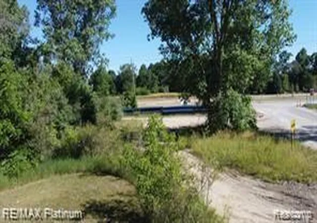 Homes for sale in Hartland, MI | V/l Highland Road, Hartland, MI 48353 | MLS# 60389043