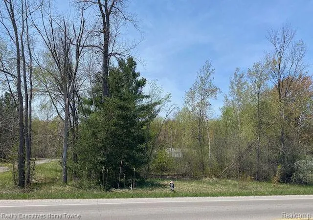 Homes for sale in Kimball, MI | 00 Range, Kimball, MI 48074 | MLS# 60280007