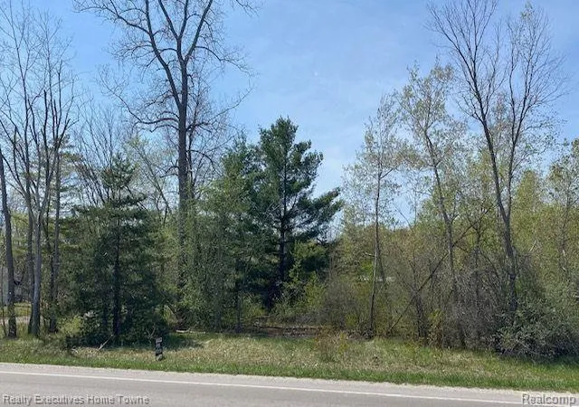 Homes for sale in Kimball, MI | 00 Range, Kimball, MI 48074 | MLS# 60280007