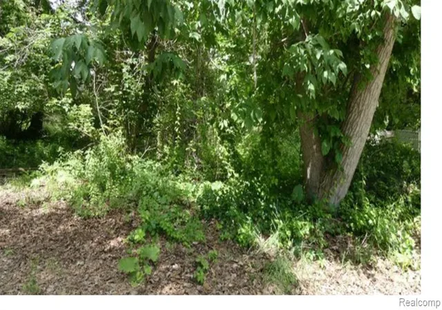 Land for sale at 0000 Johnson Dr | Lot 4, Lake Orion, MI 48362 | MLS# 61025369