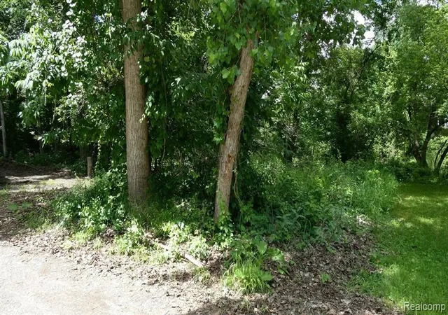 Photo 2 of Land for sale at 0000 Johnson Dr | Lot 4, Lake Orion, MI 48362 | MLS# 61025369 | Listing updated on 2026-09-08