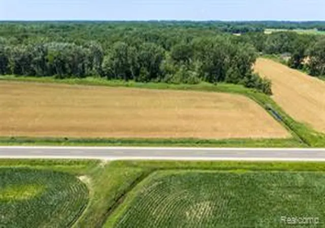 Homes for sale in Cass City, MI | Parcel A Dodge Rd, Cass City, MI 48726 | MLS# 61010037