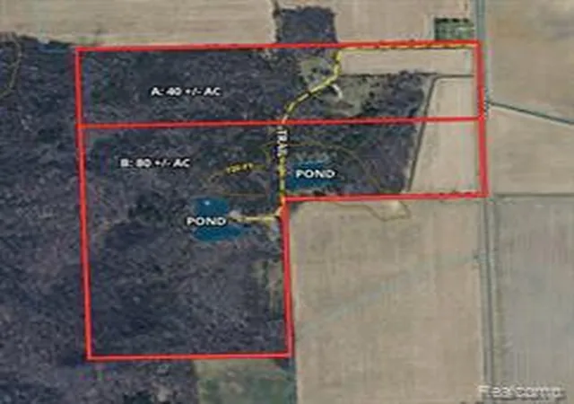 Homes for sale in Cass City, MI | Parcel A Dodge Rd, Cass City, MI 48726 | MLS# 61010037