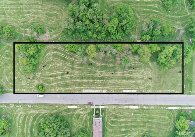 Photo 1 of Land for sale at 827 Continental St, Detroit, MI 48215 | MLS# 60398852 | Listing updated on 2026-05-21