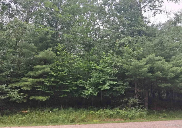Land for sale at Tbd Hill St, Vulcan, MI 49892 | MLS# 50215720