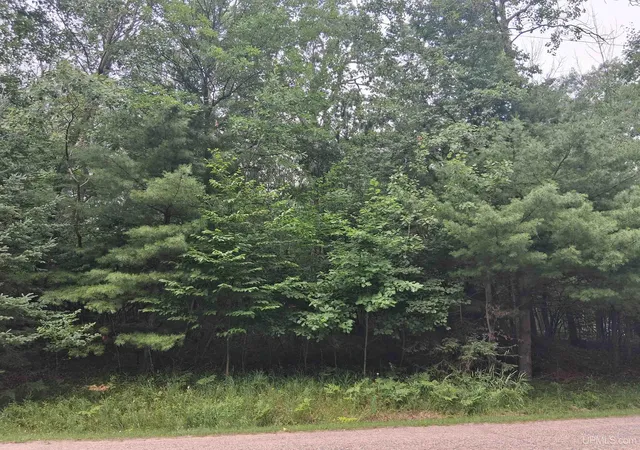Photo 2 of Land for sale at Tbd Hill St, Vulcan, MI 49892 | MLS# 50215720 | Listing updated on 2026-07-22