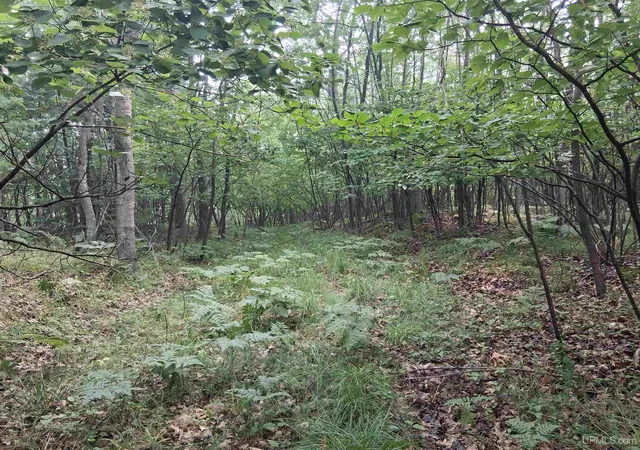 Photo 3 of Land for sale at Tbd Hill St, Vulcan, MI 49892 | MLS# 50215720 | Listing updated on 2026-07-22