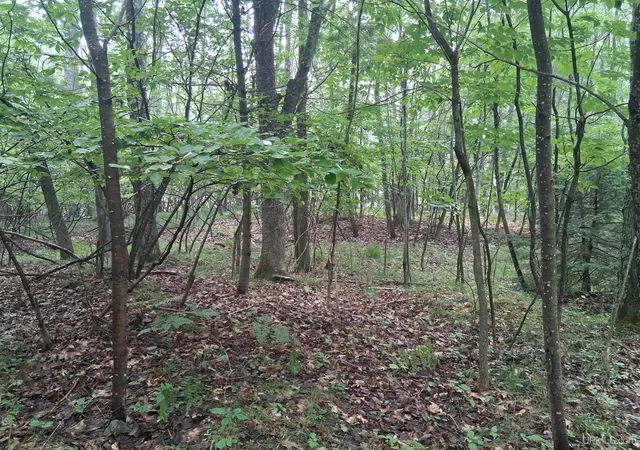 Photo 3 of Land for sale at Tbd Hill St, Vulcan, MI 49892 | MLS# 50215720 | Listing updated on 2026-07-22