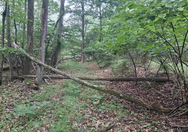 Photo 4 of Land for sale at Tbd Hill St, Vulcan, MI 49892 | MLS# 50215720 | Listing updated on 2026-07-22