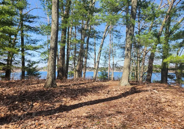 Photo 4 of Land for sale at 10962 S Minising Ct, Baldwin, MI 49304 | MLS# 70526728 | Listing updated on 2026-07-16