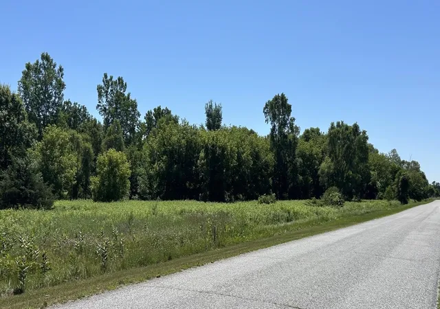 Homes for sale in Chesaning, MI | 15581 Sruart Rd, Chesaning, MI 48616 | MLS# 50213949