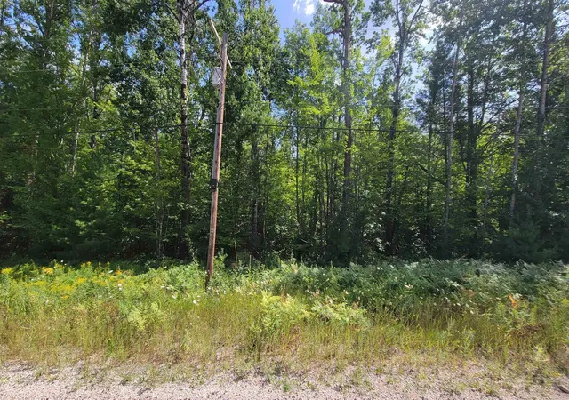 Photo 1 of Land for sale at 15097 Avenue D, Wolverine, MI 49799 | MLS# 80072778 | Listing updated on 2026-08-27