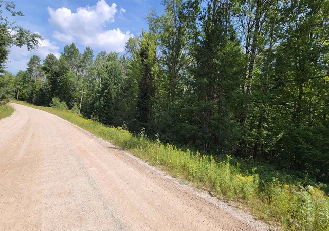 Photo 3 of Land for sale at 15097 Avenue D, Wolverine, MI 49799 | MLS# 80072778 | Listing updated on 2026-08-27