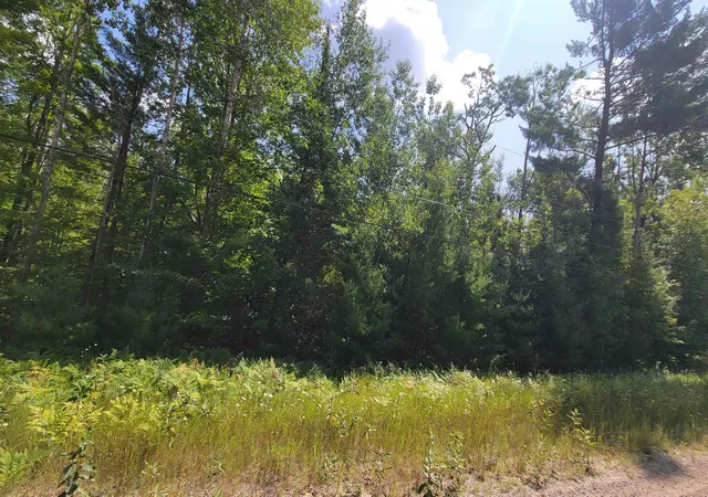 Photo 4 of Land for sale at 15097 Avenue D, Wolverine, MI 49799 | MLS# 80072778 | Listing updated on 2026-08-27