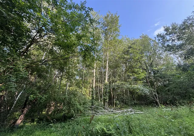 1st image of Jacob Rd, Grass Lake, MI 49240 | MLS# 70547235