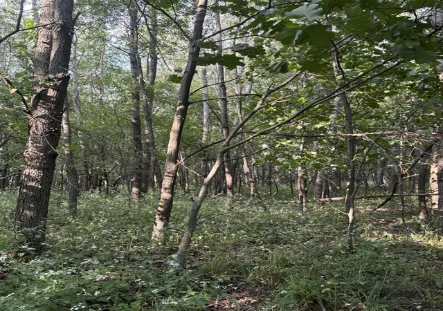 Photo 2 of Sale Pending at Jacob Rd, Grass Lake, MI 49240 | MLS# 70547235 | Listing updated on 2026-09-01