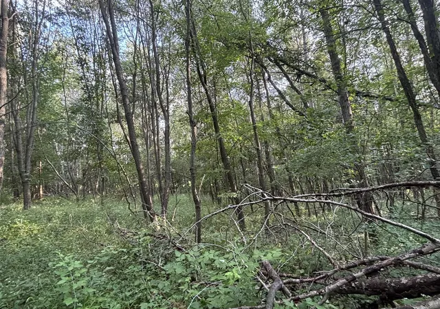 3rd image of Jacob Rd, Grass Lake, MI 49240 | MLS# 70547235