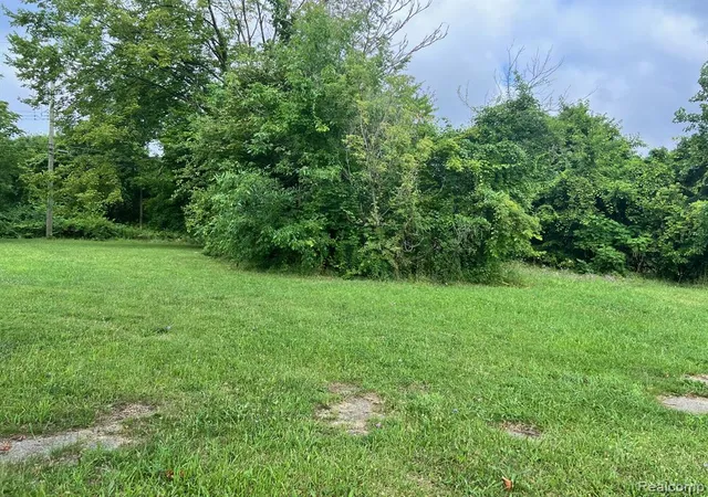 Photo 3 of Land for sale at 9149 Delmar St, Detroit, MI 48211 | MLS# 60922624 | Listing updated on 2026-08-12