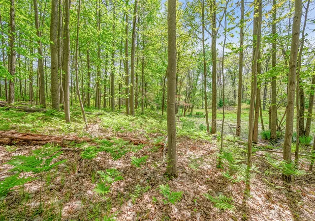 Homes for sale in Canadian Lakes, MI | 8209 West Royal Rd, Canadian Lakes, MI 49346 | MLS# 70508393