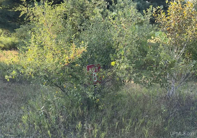 3rd image of Lot 8 Ski View Dr, Norway, MI 49870 | MLS# 50219511