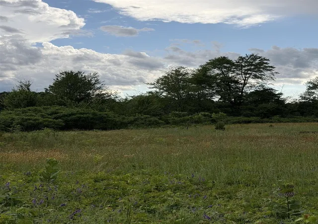 Photo 1 of Land for sale at 390 S Arent Rd, Watervliet, MI 49098 | MLS# 70539499 | Listing updated on 2026-07-29