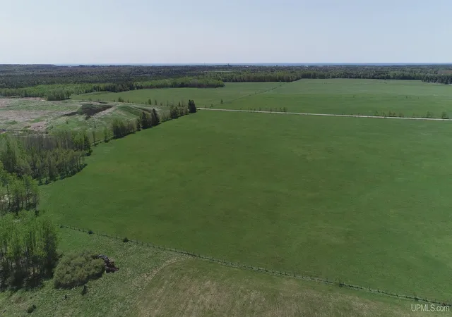 Homes for sale in Manistique, MI | 70 Acres M 94 Hwy, Manistique, MI 49854 | MLS# 50209415