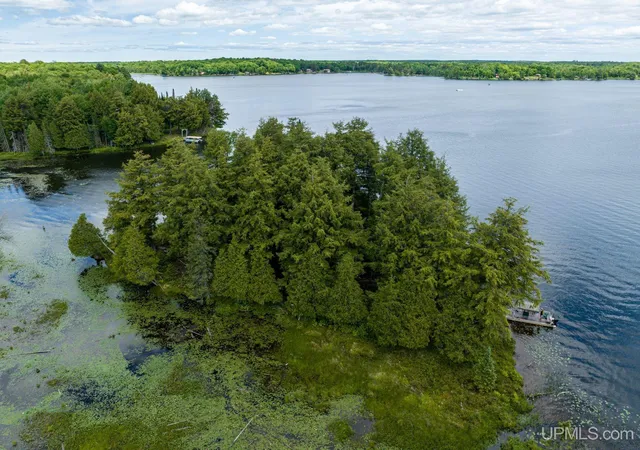 Homes for sale in Watersmeet, MI | Off Boy Scout Island Rd, Watersmeet, MI 49969 | MLS# 50213338