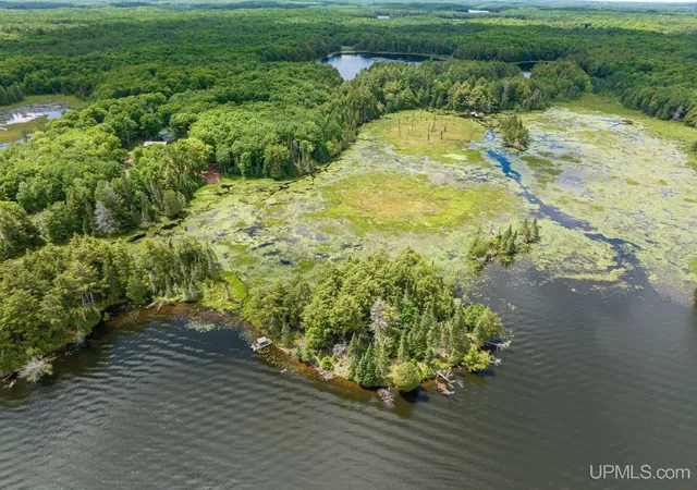 Homes for sale in Watersmeet, MI | Off Boy Scout Island Rd, Watersmeet, MI 49969 | MLS# 50213338