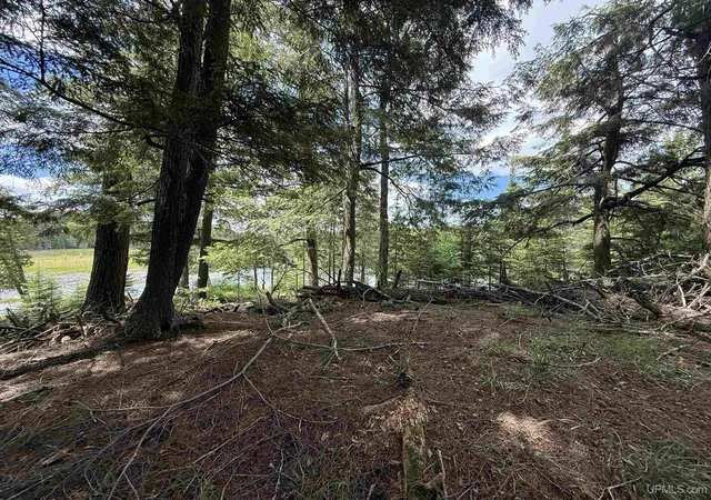 Homes for sale in Watersmeet, MI | Off Boy Scout Island Rd, Watersmeet, MI 49969 | MLS# 50213338
