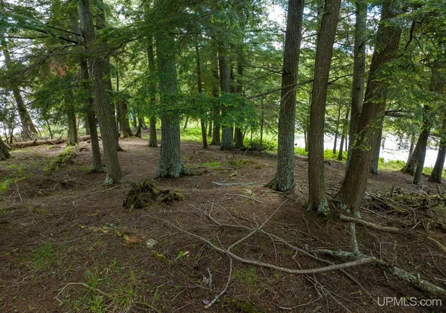 Homes for sale in Watersmeet, MI | Off Boy Scout Island Rd, Watersmeet, MI 49969 | MLS# 50213338