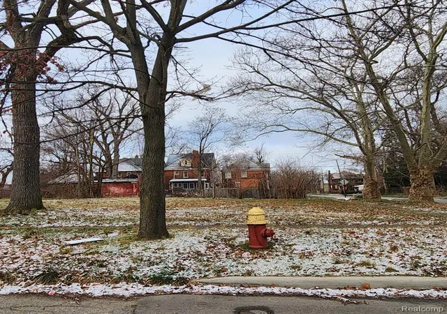 Photo 2 of Land for sale at 3065 Sheridan St, Detroit, MI 48214 | MLS# 60297077 | Listing updated on 2026-06-25