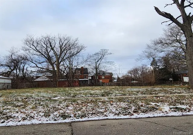 Photo 3 of Land for sale at 3065 Sheridan St, Detroit, MI 48214 | MLS# 60297077 | Listing updated on 2026-06-25