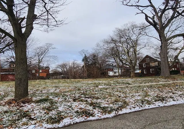 Photo 3 of Land for sale at 3065 Sheridan St, Detroit, MI 48214 | MLS# 60297077 | Listing updated on 2026-06-25