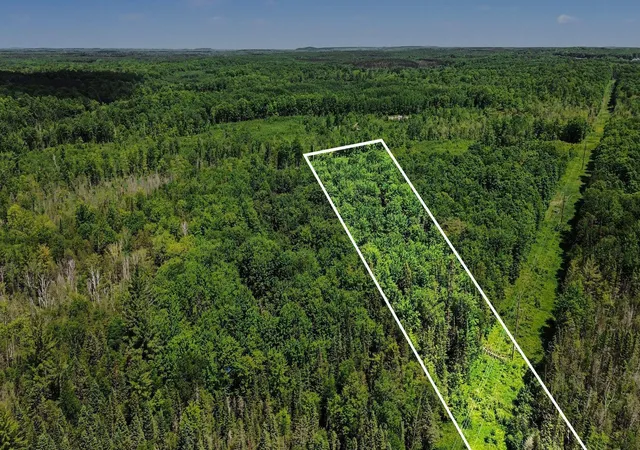 Homes for sale in Kalkaska, MI | V/L Third Rd, Kalkaska, MI 49646 | MLS# 80070004