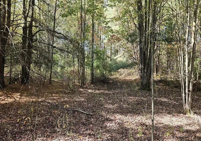 Photo 1 of Land for sale at 1100 E Bard, Muskegon, MI 49445 | MLS# 70507689 | Listing updated on 2026-08-16