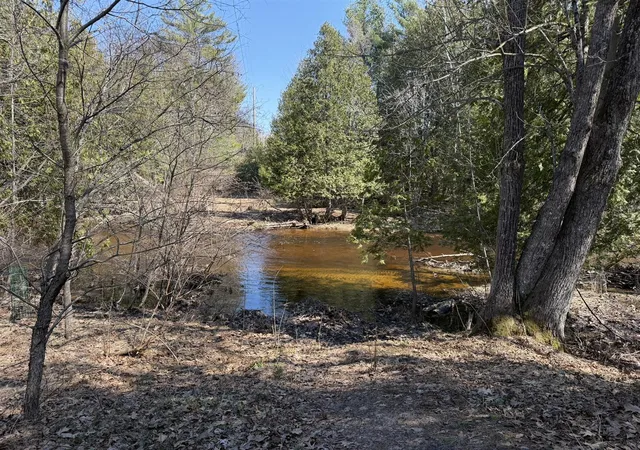 Photo 3 of Land for sale at 8180 N Echo Valley Dr, Irons, MI 49644 | MLS# 70512867 | Listing updated on 2026-07-22