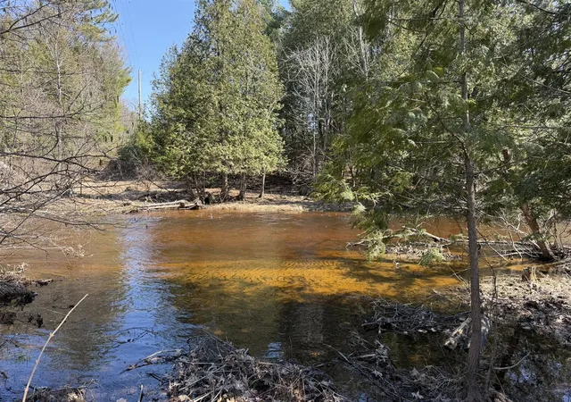 Photo 3 of Land for sale at 8180 N Echo Valley Dr, Irons, MI 49644 | MLS# 70512867 | Listing updated on 2026-09-21