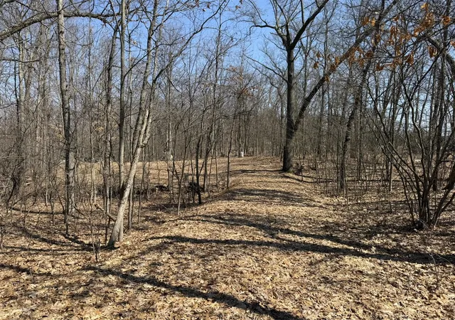 Photo 4 of Land for sale at 8180 N Echo Valley Dr, Irons, MI 49644 | MLS# 70512867 | Listing updated on 2026-09-21
