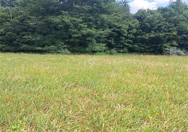 Photo 1 of Land for sale at 6120 Sunnys Way, Imlay City, MI 48444 | MLS# 61015232 | Listing updated on 2026-08-05