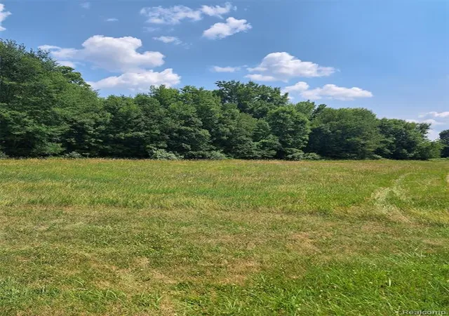 Photo 2 of Land for sale at 6120 Sunnys Way, Imlay City, MI 48444 | MLS# 61015232 | Listing updated on 2026-08-05